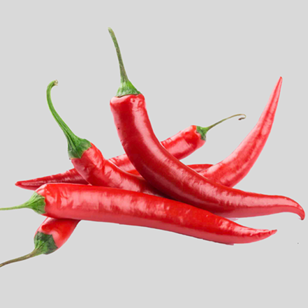 Chilli Pepper (Legon 18)