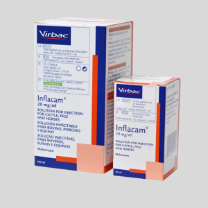 Inflacam Inspuiting 100ml