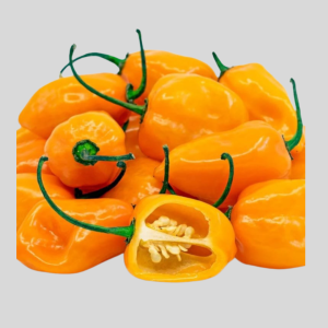 Pepper seeds ( Ojenma)