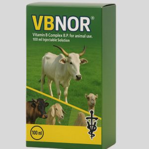 Complexe de vitamine B BP 100 ml injectable