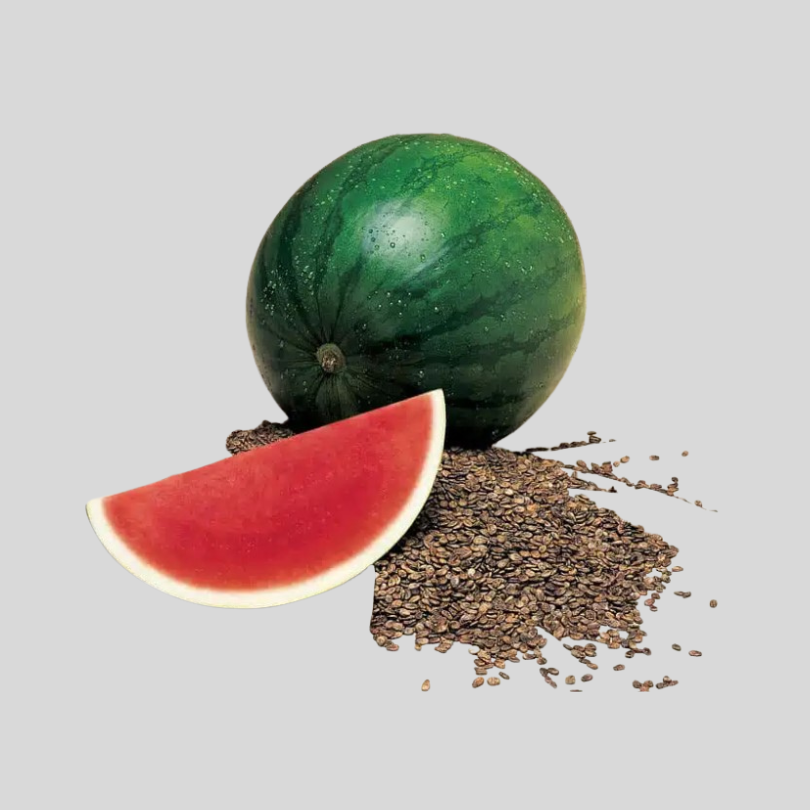 Watermelon 5