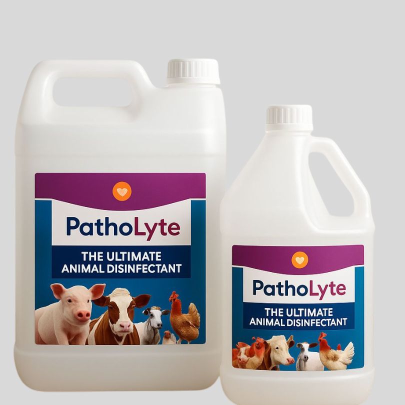 patholy
