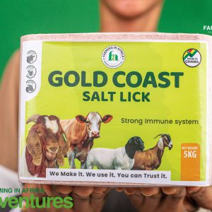 Gold Coast Salt Lick