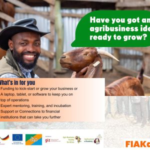 Funding for Agribusinesses